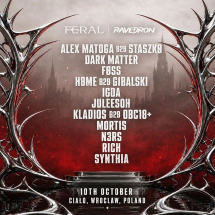 RAVEDRON x FERAL, Wrocław poster
