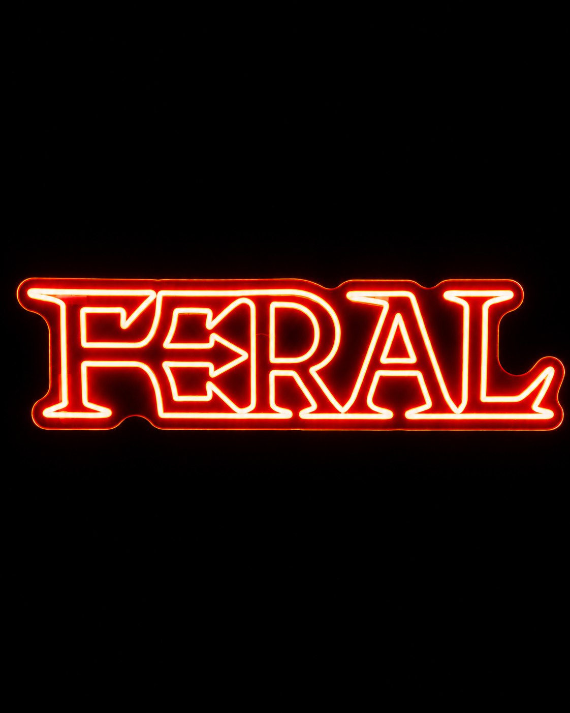 FERAL neon sign: the FERAL logo in red LED neon, lit on a black wall
