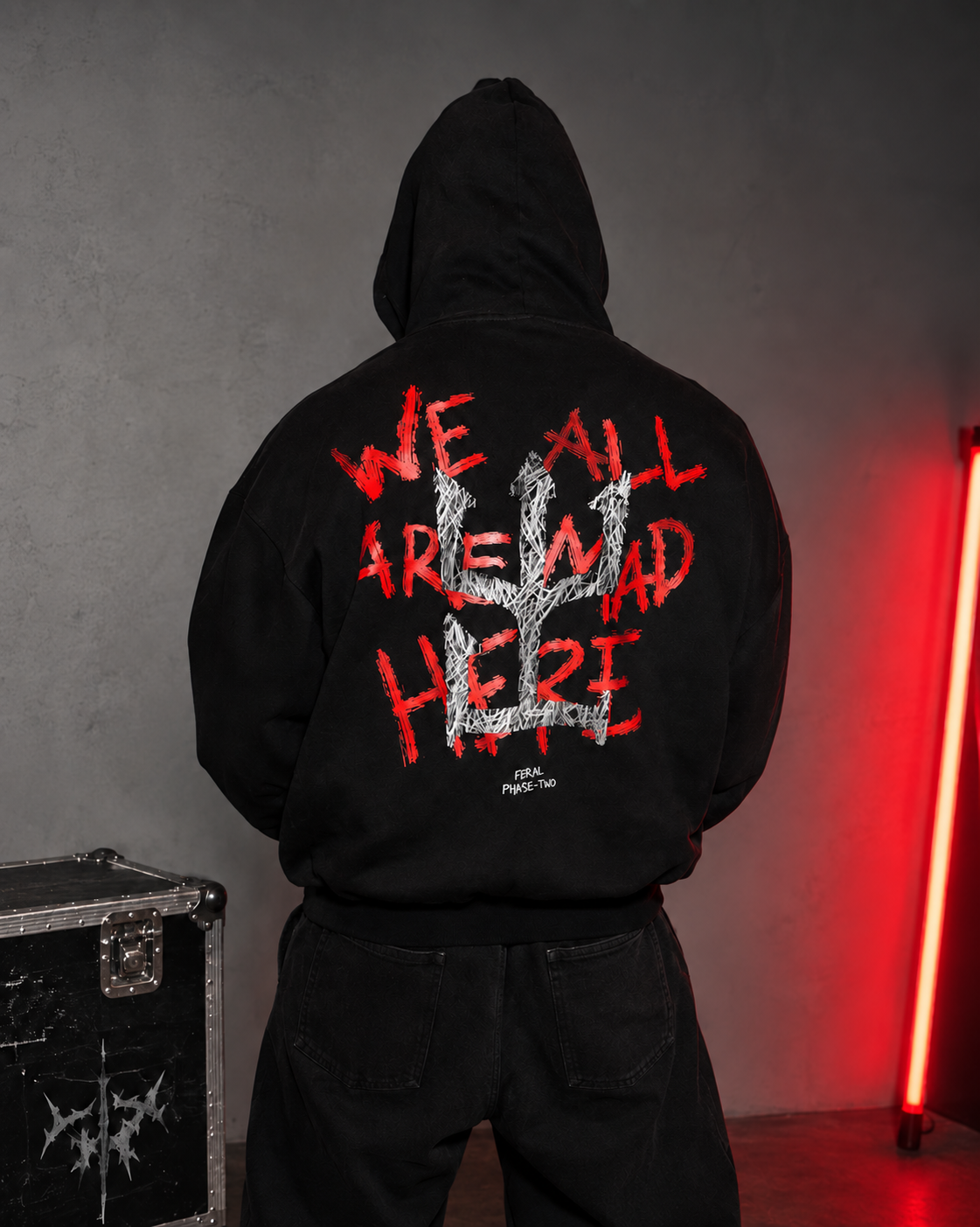 WE ALL ARE MAD HERE HOODIE